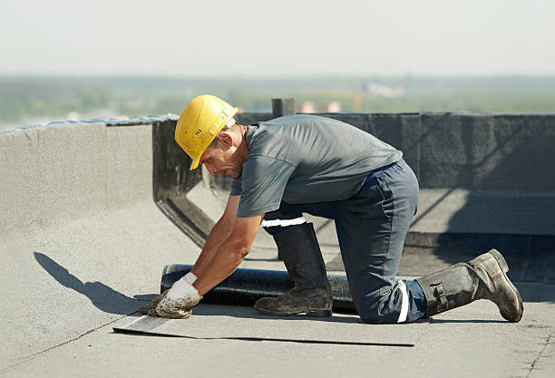 Best Commercial Insulation in Gloverville, SC